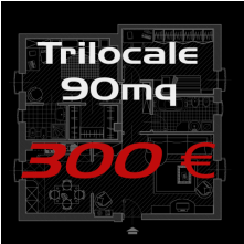 Trilocale 300 €